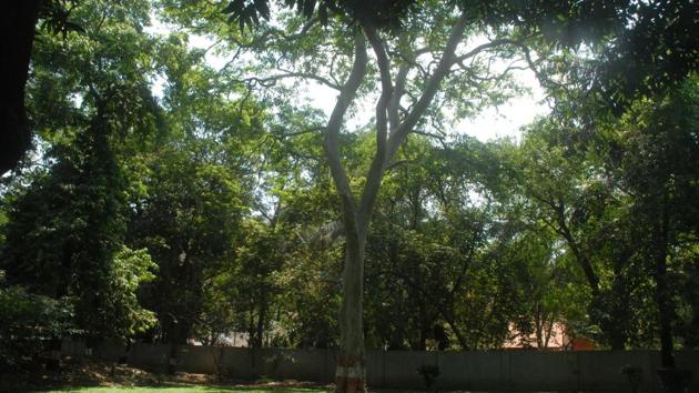 Veermata Jijabai Bhosale Udyan is one such garden which will undergo revamp. (HT File) Veermata Jijabai Bhosale Udyan is one such garden which will undergo revamp. (HT File)