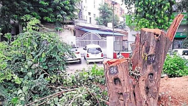 The forest department Gurugram has imposed a heavy penalty of <span class='webrupee'>₹</span>1.16 lakh on a senior official of the horticulture wing of Haryana Shahari Vikas Pradhikaran (HSVP) for cutting trees without prior permission of the competent authority two weeks ago.(HT Photo) The forest department Gurugram has imposed a heavy penalty of <span class='webrupee'>₹</span>1.16 lakh on a senior official of the horticulture wing of Haryana Shahari Vikas Pradhikaran (HSVP) for cutting trees without prior permission of the competent authority two weeks ago.(HT Photo)