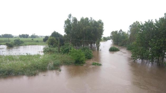 Water from Kali Bein entered fields in Hoshiarpur district on Monday. Special teams have been deputed to keep vigil in the area. (HT Photo) Water from Kali Bein entered fields in Hoshiarpur district on Monday. Special teams have been deputed to keep vigil in the area. (HT Photo)