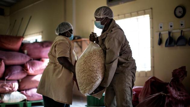 Virginia Ramuhuhu (L) and Enos Chavalala haul bags of baobab seeds at the lab. A leading distributor and supplier, Baobab Foods has seen explosive growth in demand for baobab products in recent years, saying in a statement that in 2018 they had more than doubled their annual imports of baobab fruit powder into the US alone. (Marco Longari / AFP) Virginia Ramuhuhu (L) and Enos Chavalala haul bags of baobab seeds at the lab. A leading distributor and supplier, Baobab Foods has seen explosive growth in demand for baobab products in recent years, saying in a statement that in 2018 they had more than doubled their annual imports of baobab fruit powder into the US alone. (Marco Longari / AFP)