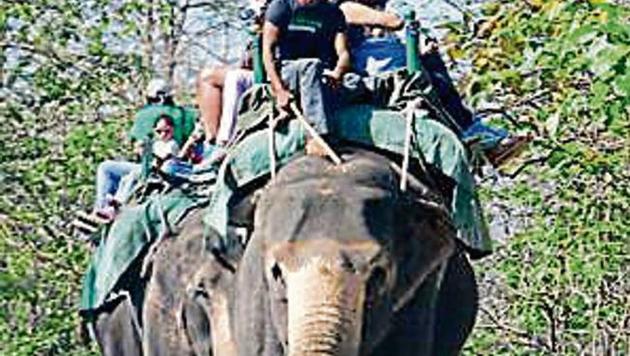 Tourists enjoying elephant safari at Jim Corbett National Park . (HT Photo) Tourists enjoying elephant safari at Jim Corbett National Park . (HT Photo)