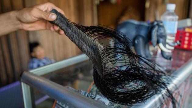 A vendor holds a chopped elephant tail with hair for sale in Lien Son town. “The tail is very much a part of body hygiene, so by plucking the hairs out... or cutting the entire lower tail off, you’re putting a handicap on your elephant,” Dionne Slagter, Animal Welfare Manager at Animals Asia, told AFP. (Thanh Nguyen / AFP) 