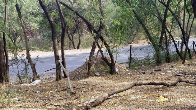 There is hardly any fencing left for the forest land at Mohammadwadi in Pune. Forest department plans to build protection walls around forest areas. (HT PHOTO) There is hardly any fencing left for the forest land at Mohammadwadi in Pune. Forest department plans to build protection walls around forest areas. (HT PHOTO)