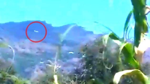 A Pakistani chopper violated Indian airspace in Jammu and Kashmir on Sunday.(ANI video screengrab)