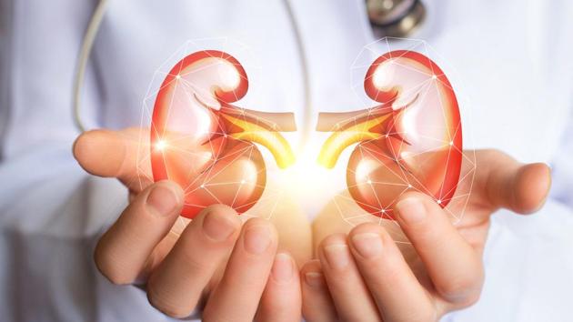 Chandana Guria was a tout iwho, after trapping the victims for kidney removal surgery in a nursing home in Dehradun, handed them over to a handler, said police. (Representative Image) (Getty Images/iStockphoto) Chandana Guria was a tout iwho, after trapping the victims for kidney removal surgery in a nursing home in Dehradun, handed them over to a handler, said police. (Representative Image) (Getty Images/iStockphoto)