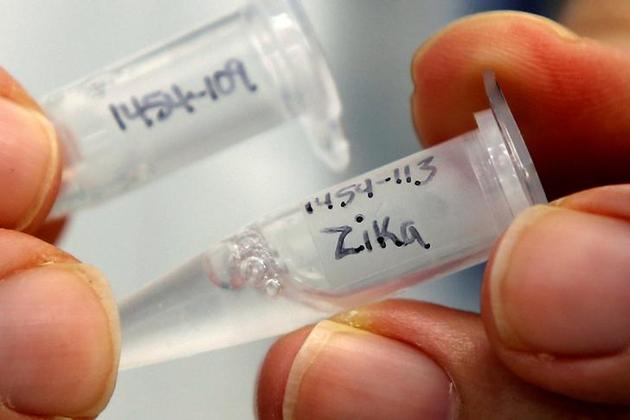 Six Zika cases have been confirmed in India to date by the Union health ministry surveillance network - three from Gujarat in 2017, one from Tamil Nadu in February and two from Rajasthan in September this year. (Reuters/Picture for representation)