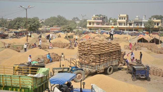 Paddy procurement underway at the Bagtanwala grain market in Amritsar on Wednesday. On Tuesday, chief minister Captain Amarinder Singh had said he has requested the FCI to consider increasing the accepted moisture level for paddy procurement in view of the impact of the recent heavy rains on the crop. (Sameer Sehgal/Ht photo) Paddy procurement underway at the Bagtanwala grain market in Amritsar on Wednesday. On Tuesday, chief minister Captain Amarinder Singh had said he has requested the FCI to consider increasing the accepted moisture level for paddy procurement in view of the impact of the recent heavy rains on the crop. (Sameer Sehgal/Ht photo)