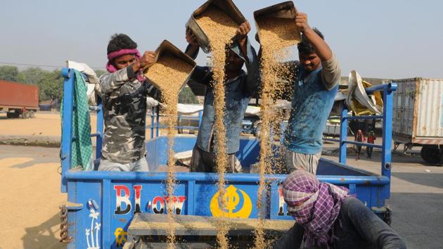 Labourers dry the paddy crop that arrived at New Grain market in Jalandhar on Wednesday. Punjab is expecting to procure 200 lakh tonnes of paddy this kharif season which started on October 1.The state has directed all the heads of state procurement agencies as well as general manager, Food Corporation of India, Punjab region, to personally supervise the paddy procurement operations. (Pardeep Pandit/HT Photo) Labourers dry the paddy crop that arrived at New Grain market in Jalandhar on Wednesday. Punjab is expecting to procure 200 lakh tonnes of paddy this kharif season which started on October 1.The state has directed all the heads of state procurement agencies as well as general manager, Food Corporation of India, Punjab region, to personally supervise the paddy procurement operations. (Pardeep Pandit/HT Photo)