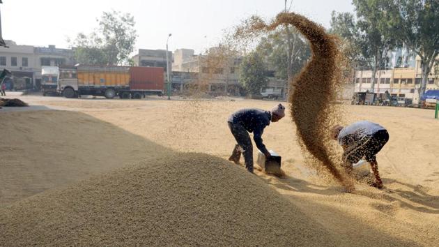 1,834 purchase centres have been set up in the state for smooth procurement of paddy. The Centre has fixed the minimum support price (MSP) for paddy at Rs 1,770 per quintal for grade A and Rs 1,750 per quintal for the common variety of paddy. (Pardeep Pandit/HT Photo) 1,834 purchase centres have been set up in the state for smooth procurement of paddy. The Centre has fixed the minimum support price (MSP) for paddy at Rs 1,770 per quintal for grade A and Rs 1,750 per quintal for the common variety of paddy. (Pardeep Pandit/HT Photo)