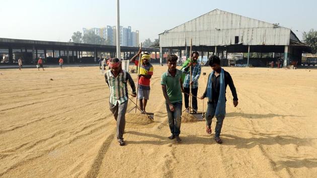 A spokesperson said Pungrain will procure 30%, Punsup 22%, Markfed 23%, Punjab Agro 10%, Punjab State Warehousing Corporation 10% and FCI 5% of the crop in Punjab. (Pardeep Pandit/HT Photo) A spokesperson said Pungrain will procure 30%, Punsup 22%, Markfed 23%, Punjab Agro 10%, Punjab State Warehousing Corporation 10% and FCI 5% of the crop in Punjab. (Pardeep Pandit/HT Photo)