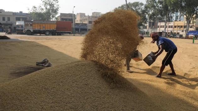 A proposal for cash credit limit has been sent by the state finance department to the Reserve Bank of India (RBI) for availing Rs 40,300 crore for paddy purchase. The FCI will make its own arrangements for funds, according to a spokesperson. (Pardeep Pandit/HT Photo) A proposal for cash credit limit has been sent by the state finance department to the Reserve Bank of India (RBI) for availing Rs 40,300 crore for paddy purchase. The FCI will make its own arrangements for funds, according to a spokesperson. (Pardeep Pandit/HT Photo)