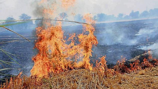 Air pollution is at its worst at this time of the year due to stubble burning in the region. (HT file) Air pollution is at its worst at this time of the year due to stubble burning in the region. (HT file)