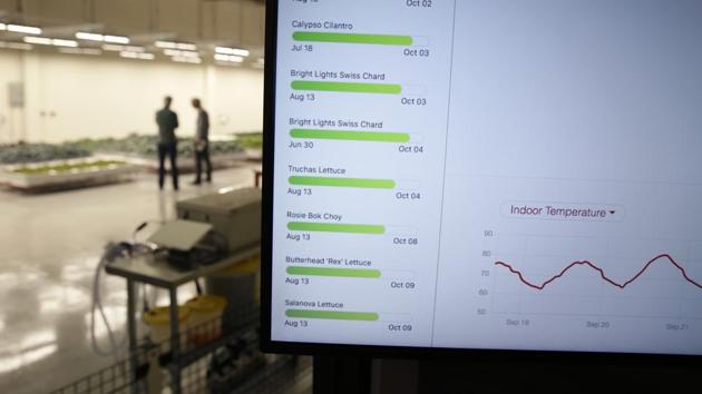 Temperatures of some two dozen plant varietals are monitored at the indoor farm. The startup relies on a hydroponic system that conserves water, and automation in place of humans less interested in farming jobs that pay an average of $13.32 per hour, according to the Department of Agriculture. Nearly half of US farmworkers planting and picking crops aren’t there legally, based on a survey by the US Department of Labour. (Eric Risberg / AP) Temperatures of some two dozen plant varietals are monitored at the indoor farm. The startup relies on a hydroponic system that conserves water, and automation in place of humans less interested in farming jobs that pay an average of $13.32 per hour, according to the Department of Agriculture. Nearly half of US farmworkers planting and picking crops aren’t there legally, based on a survey by the US Department of Labour. (Eric Risberg / AP)