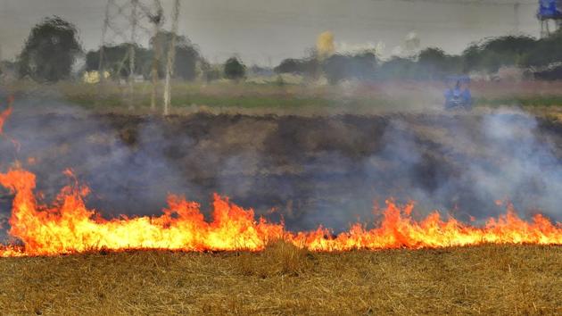 Despite the ban, farmer burns paddy straw in Punjab. (HT File) Despite the ban, farmer burns paddy straw in Punjab. (HT File)