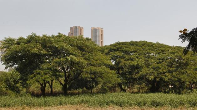 Aarey has been in controversy ever since the Metro-3 project took off.(HT File) Aarey has been in controversy ever since the Metro-3 project took off.(HT File)