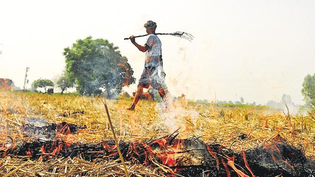 A farmer burning paddy stubble at Fatepur village in Patiala on Friday, October 5, 2018. Stubble burning by farmers in Punjab and Haryana is one of the reasons that pollution levels in Delhi shoot up during winter.(Bharat Bhushan / HT Photo)