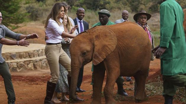 US first lady Melania Trump pets a baby elephant at Nairobi National Park in Kenya. (AP) US first lady Melania Trump pets a baby elephant at Nairobi National Park in Kenya. (AP)