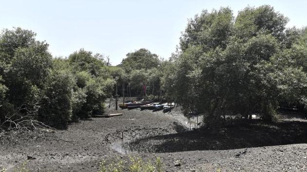 Mangroves of Sewri Creek in Mumbai. (Anshuman Poyrekar/HT Photo) Mangroves of Sewri Creek in Mumbai. (Anshuman Poyrekar/HT Photo)
