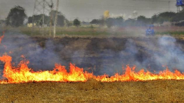 Despite the state government and the Punjab Agricultural University’s drive against stubble burning, farmer unions are making announcements at different villages to continue stubble burning as the government has failed to address the issue.(HT File) Despite the state government and the Punjab Agricultural University’s drive against stubble burning, farmer unions are making announcements at different villages to continue stubble burning as the government has failed to address the issue.(HT File)