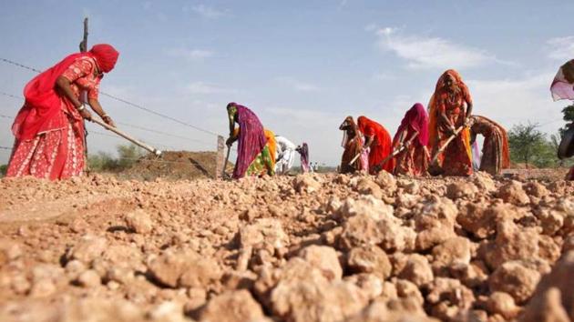 Village women labourers work at construction site of a road at Merta district in Rajasthan.(Reuters)