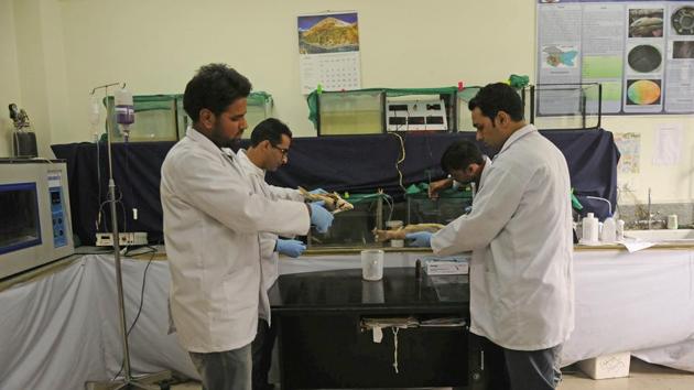 Fisheries experts from SKUAST faced a common complaint from farmers during a survey of fish farms in Jammu and Kashmir. They would complain that species like trout were dying of unknown reasons. The experts were soon able to put a finger on the cause when they found pathogens like Trypanosoma had made their way into Kashmir’s colder waters. The blood parasite is mostly found among fish in tropical areas. (Waseem Andrabi / HT Photo)