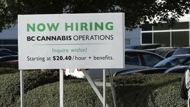 In this Sept. 26, 2018 photo, a pedestrian walks past a sign advertising jobs with BC Cannabis Operations in front of the warehouse in Richmond, British Columbia, that will store pot purchased from licensed producers before it is shipped to retail shops and online customers. (AP) In this Sept. 26, 2018 photo, a pedestrian walks past a sign advertising jobs with BC Cannabis Operations in front of the warehouse in Richmond, British Columbia, that will store pot purchased from licensed producers before it is shipped to retail shops and online customers. (AP)