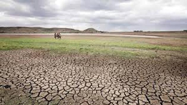 The state now expects the area under irrigation to increase from its set figure of 18% once the real time picture is assessed. (HT File) The state now expects the area under irrigation to increase from its set figure of 18% once the real time picture is assessed. (HT File)