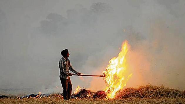 A farmer burns paddy stubble at Fatehpur Bakshiwal village near Patiala on Thursday. (Bharat Bhushan /HT) A farmer burns paddy stubble at Fatehpur Bakshiwal village near Patiala on Thursday. (Bharat Bhushan /HT)