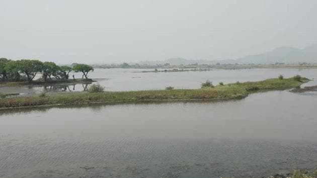 In 2014, the Bombay high court had banned reclamation and construction on wetlands after environment groups filed a petition to protect them. (Aishwarya Sridhar) In 2014, the Bombay high court had banned reclamation and construction on wetlands after environment groups filed a petition to protect them. (Aishwarya Sridhar)