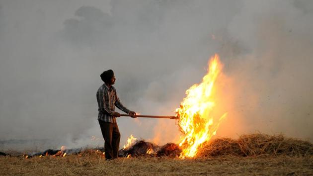 A farmer burns stubble in his paddy field near Patiala on Thursday, October 11, 2018. (Bharat Bhushan / HT Photo) A farmer burns stubble in his paddy field near Patiala on Thursday, October 11, 2018. (Bharat Bhushan / HT Photo)