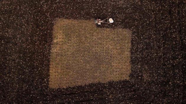A farmer ploughs along a field in Danzhai in China’s southwestern Guizhou province. (Stringer / AFP)