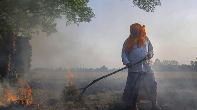 Amritsar: Smoke rises as a farmer burns paddy stubbles at a village on the outskirts of Amritsar, Friday, Oct 12, 2018. Farmers are burning paddy stubble despite a ban, before growing the next crop. (PTI Photo) (PTI10_12_2018_1000108B)(PTI)