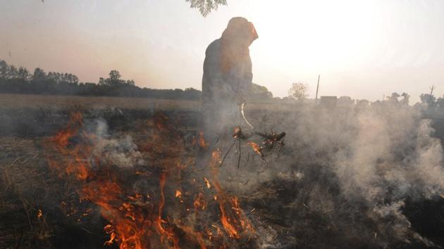 Smoke rises as a farmer burns paddy stubbles at a village on the outskirts of Amritsar, Friday. (PTI Photo) Smoke rises as a farmer burns paddy stubbles at a village on the outskirts of Amritsar, Friday. (PTI Photo)