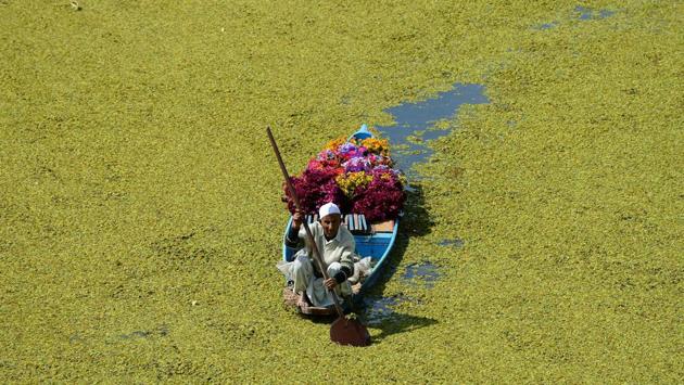 A Kashmiri flower vendor paddles his boat along Dal Lake in Srinagar, Jammu and Kashmir. (Sajjad Hussain / AFP)