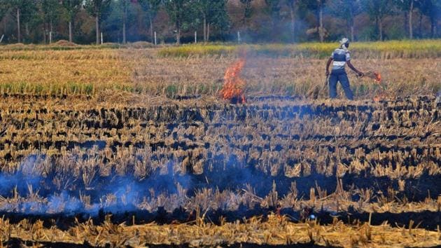 Farmer burning the stubble at a village in Ludhiana.(HT File photo) Farmer burning the stubble at a village in Ludhiana.(HT File photo)