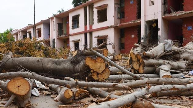 Trees felled for the redevelopment project at Netaji Nagar residential colony, in New Delhi(Vipin Kumar/HT PHOTO) Trees felled for the redevelopment project at Netaji Nagar residential colony, in New Delhi(Vipin Kumar/HT PHOTO)