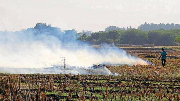 A farmer burning stubble in a field at Baroli village in Dera Bassi on Tuesday. Farmers have been fined <span class='webrupee'>?</span>42,500 for flouting the ban in the past fortnight.(HT Photo)