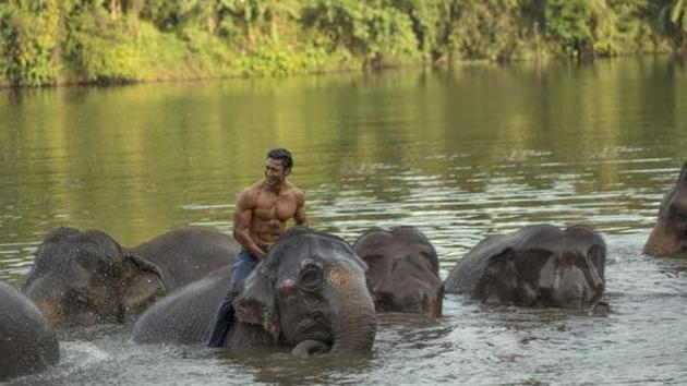 Vidyut Jammwal is seen bonding with elephants in the Junglee teaser.