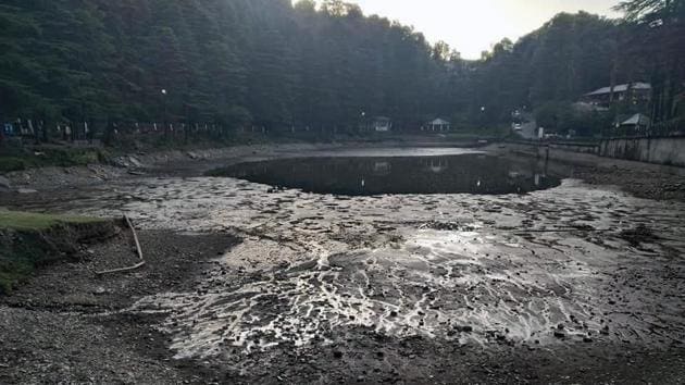 The problem of silting and seepage first appeared in mid-2000s in the Dal Lake at Naddi village.(HT Photo)