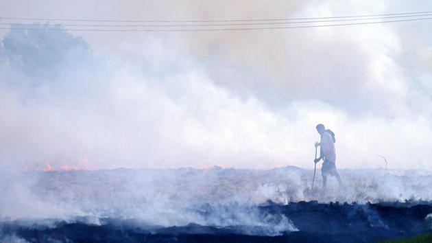 An Indian farmer burns paddy stubble in a field on the outskirts of Jalandhar, Punjab. (Shammi Mehra / AFP) An Indian farmer burns paddy stubble in a field on the outskirts of Jalandhar, Punjab. (Shammi Mehra / AFP)