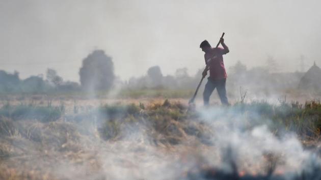 A farmer burns straw stubble in his field at Ishargarh village in Haryana.(AFP Photo)