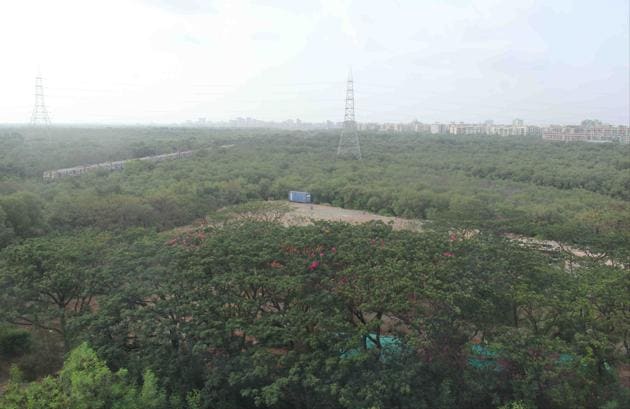 As per state mangrove cell, around 2,000 hectares is likely to be added to the existing 15,088 hectares of notified mangrove forests across Maharashtra.(HT FILE)