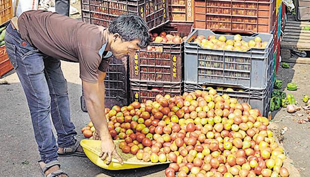 Agricultural produce market committee, Pune, received around 8,000 boxes of tomatoes on Sunday. (RAHUL RAUT/ HT PHOTO) Agricultural produce market committee, Pune, received around 8,000 boxes of tomatoes on Sunday. (RAHUL RAUT/ HT PHOTO)