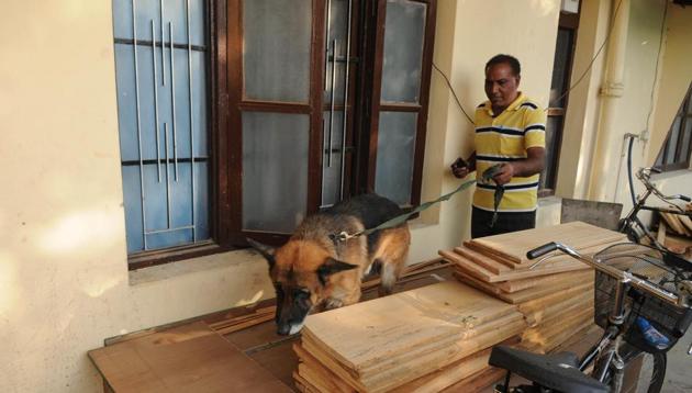 Police sniffer dog tracking outside the residence of father Kuriakose Kattuthara, who was found dead in mysterious circumstances in Dasuya, Punjab, India on Monday, October 22, 2018.(Pardeep Pandit/ Hindustan Times)