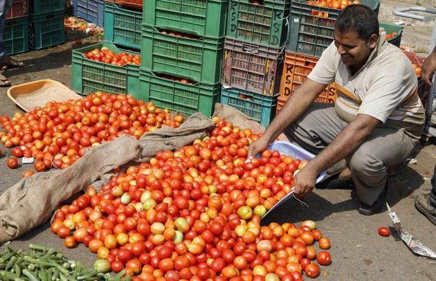 In supply has increased manifold, prices of tomatoes have fallen.A man stocks tomatoes in Market yard,Pune. (Rahul Raut/HT PHOTO) In supply has increased manifold, prices of tomatoes have fallen.A man stocks tomatoes in Market yard,Pune. (Rahul Raut/HT PHOTO)