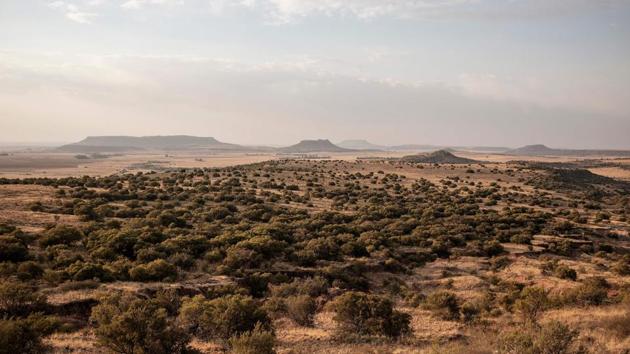 Experts say the southern tip of Africa is ideal to study the Triassic to Jurassic period transition. “One of the reasons is that about 66% of the surface of South Africa has fossils on it -- there are a lot of fossil-bearing areas,” Choiniere said. “We don’t get much rainfall, especially in the interior, so we have areas that erode rapidly -- and that erosion exposes fossils.” (Gianluigi Guercia / AFP) Experts say the southern tip of Africa is ideal to study the Triassic to Jurassic period transition. “One of the reasons is that about 66% of the surface of South Africa has fossils on it -- there are a lot of fossil-bearing areas,” Choiniere said. “We don’t get much rainfall, especially in the interior, so we have areas that erode rapidly -- and that erosion exposes fossils.” (Gianluigi Guercia / AFP)