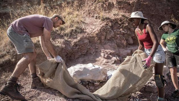 “It’s phenomenal, it’s really great,” said palaeontology masters candidate Cebisa Mdekazi (2nd, R). “It also instills pride for your country... Every time we go out into the field and we dig something up, there’s a pretty good chance that it might be something new,” Mdekazi said. “It’s dinosaur country, and there’s no way we’ll ever finish the work in my lifetime.” (Gianluigi Guercia / AFP) “It’s phenomenal, it’s really great,” said palaeontology masters candidate Cebisa Mdekazi (2nd, R). “It also instills pride for your country... Every time we go out into the field and we dig something up, there’s a pretty good chance that it might be something new,” Mdekazi said. “It’s dinosaur country, and there’s no way we’ll ever finish the work in my lifetime.” (Gianluigi Guercia / AFP)
