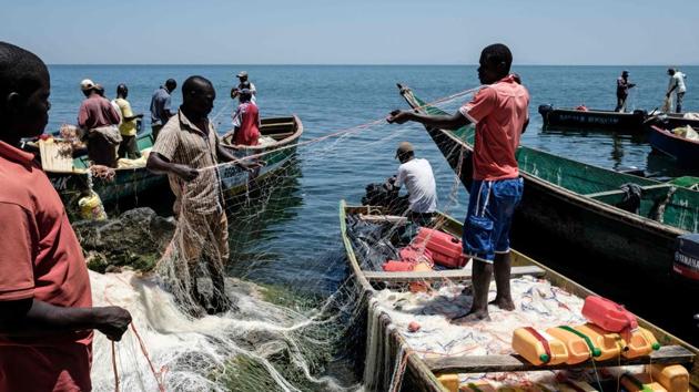 Fishermen prepare their nets. For over a decade Migingo has been a source of tension between Uganda and Kenya, who have been unable to decide to whom it really belongs. They were once pushed to the brink of what some said would have been Africa’s “smallest war” over the island. (Yasuyoshi Chiba / AFP)