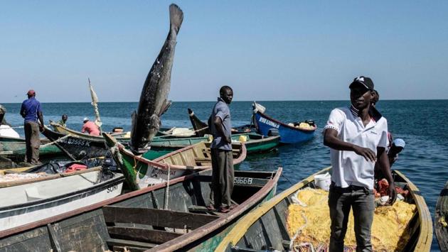 While fishing communities around Lake Victoria have seen hauls diminish, deep waters surrounding Migingo abound with fish such as Nile Perch. Isaac Buhinza, 22, of Uganda said he was drawn to Migingo because “my friends who were here before used to come back home with lots of goodies” from their fishing bounty. “I do not know which country this (island) belongs to, I just stay here.” (Yashuyoshi Chiba / AFP)
