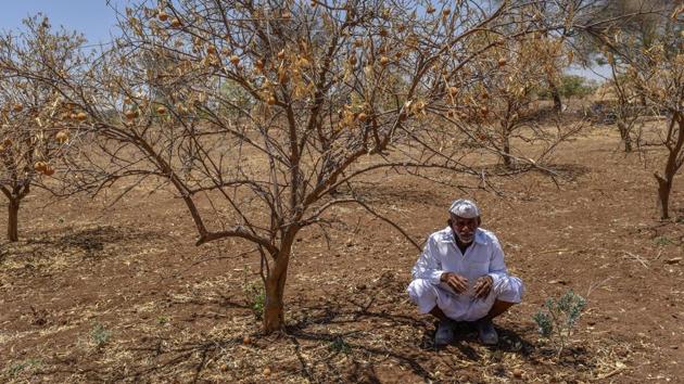 For a state to get financial assistance from the Centre’s National Disaster Relief Fund for the previous sowing season (in this case, Kharif 2018), it must officially declare drought by October 31.(HT file photo)